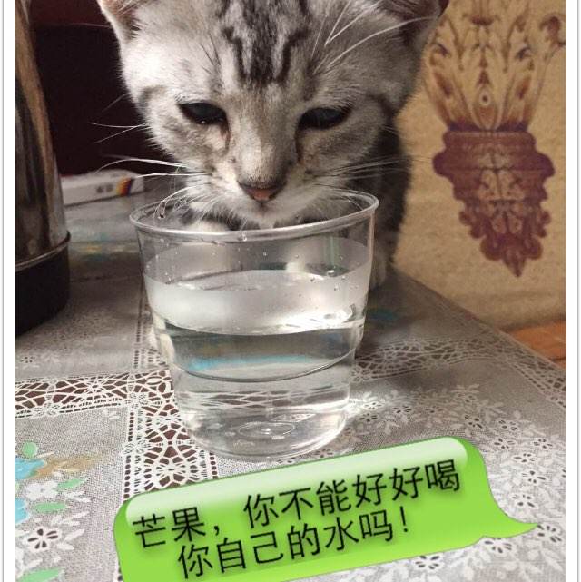 広島経済大学社会学文凭证书